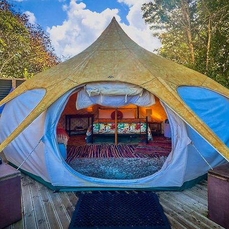 Te Tiro Accommodation Waitomo Caves Exterior foto