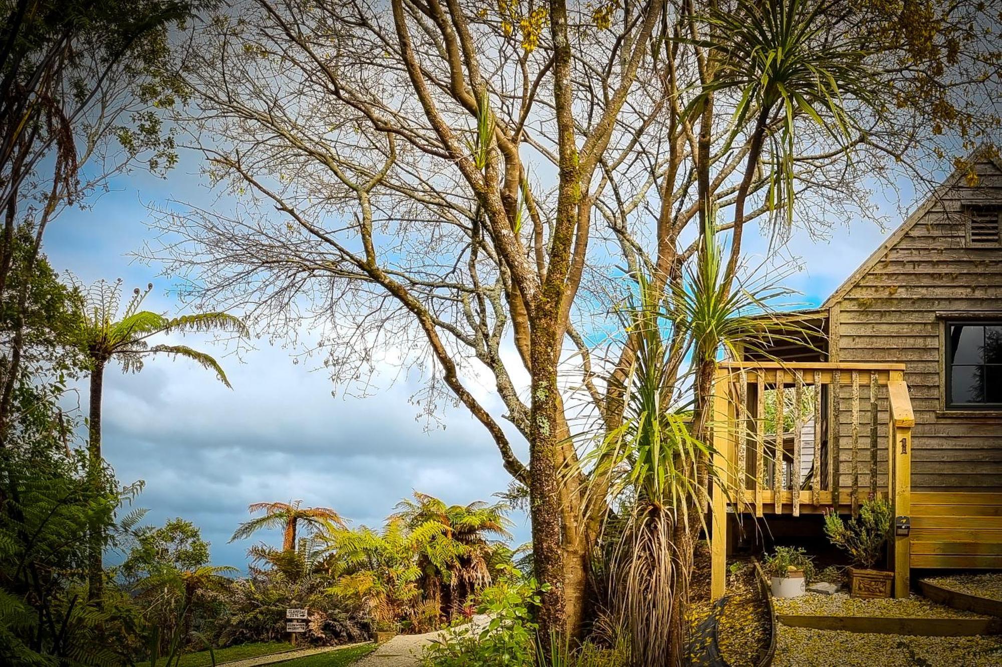 Te Tiro Accommodation Waitomo Caves Exterior foto