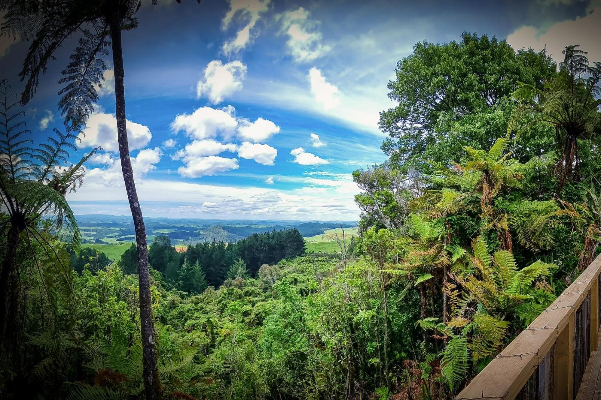 Te Tiro Accommodation Waitomo Caves Zimmer foto