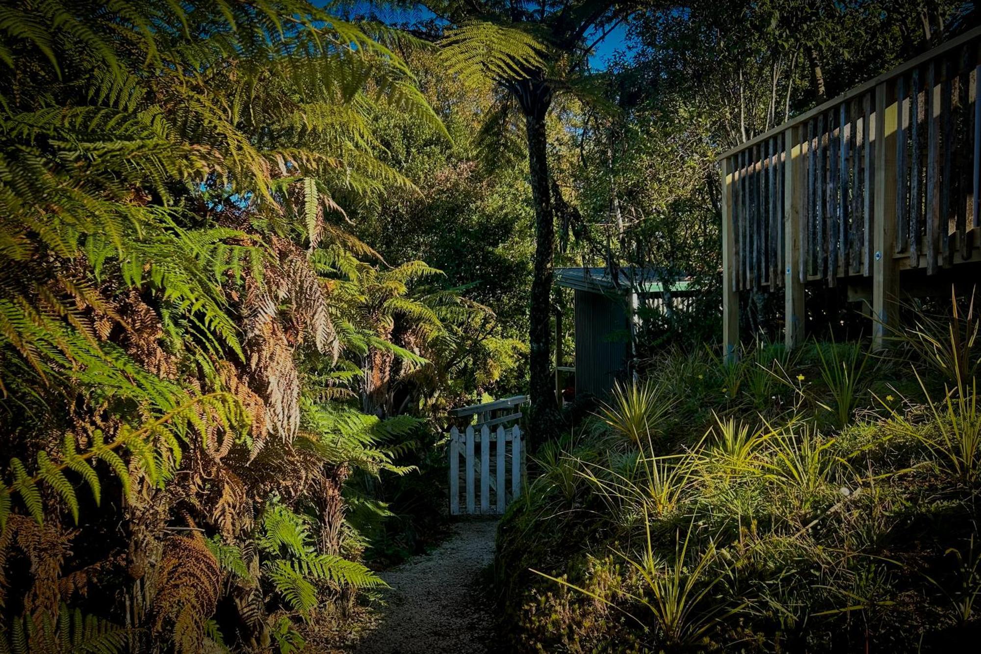 Te Tiro Accommodation Waitomo Caves Zimmer foto